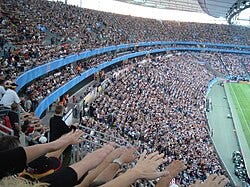 Wave (audience) - Wikipedia