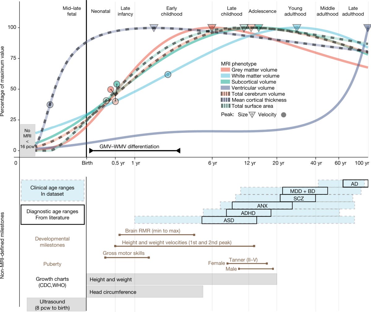 Brain charts for the human lifespan | Nature