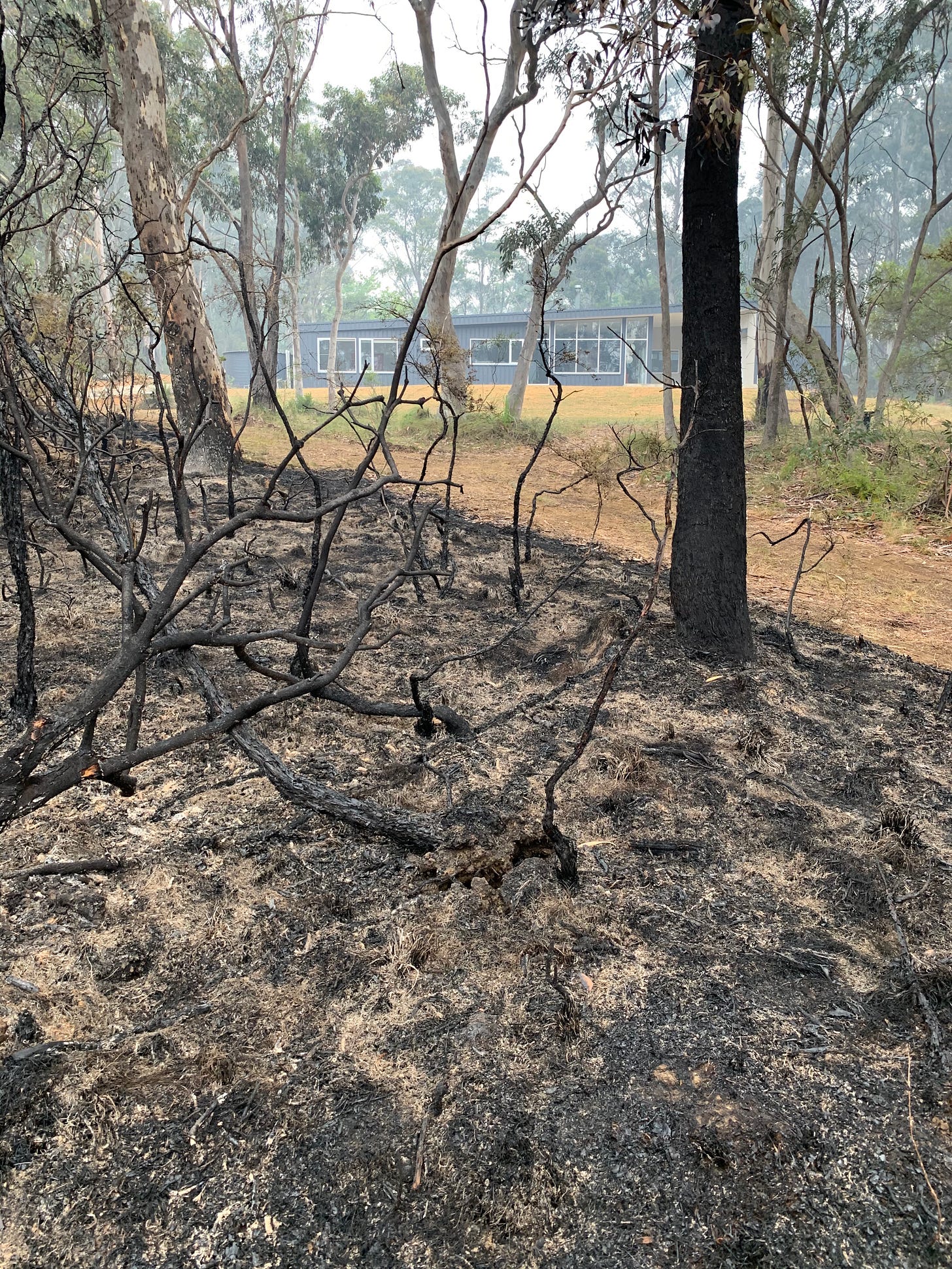 Burned and blackened landscape with blue house in the background.