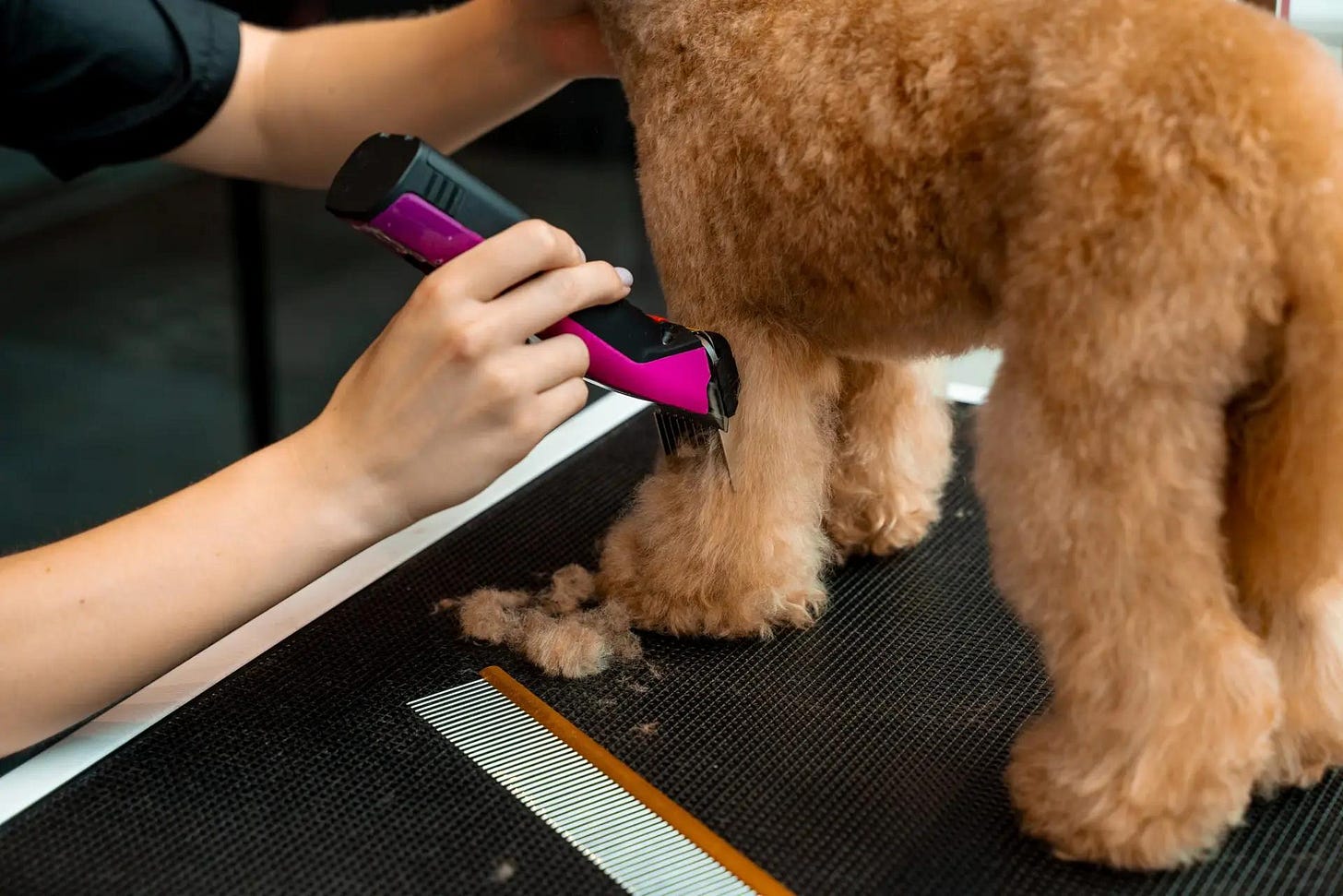 Grooming a Dog with Matted Fur: Safe Home & Pro Tips Grooming a Dog with Matted Fur: Safe Home & Pro Tips