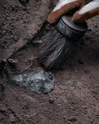 This may contain: a horse's bridle being used as a brush to clean the dirt