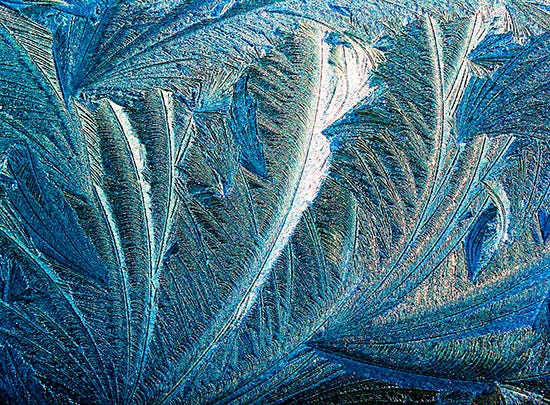 Photograph of Frost Patterns
