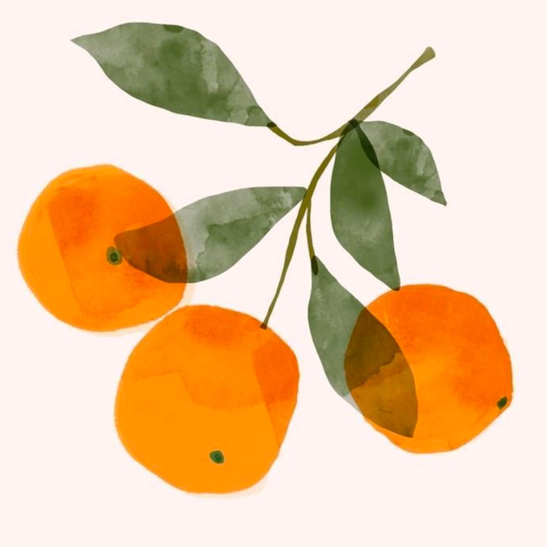 Substack profile picture for @tangerine