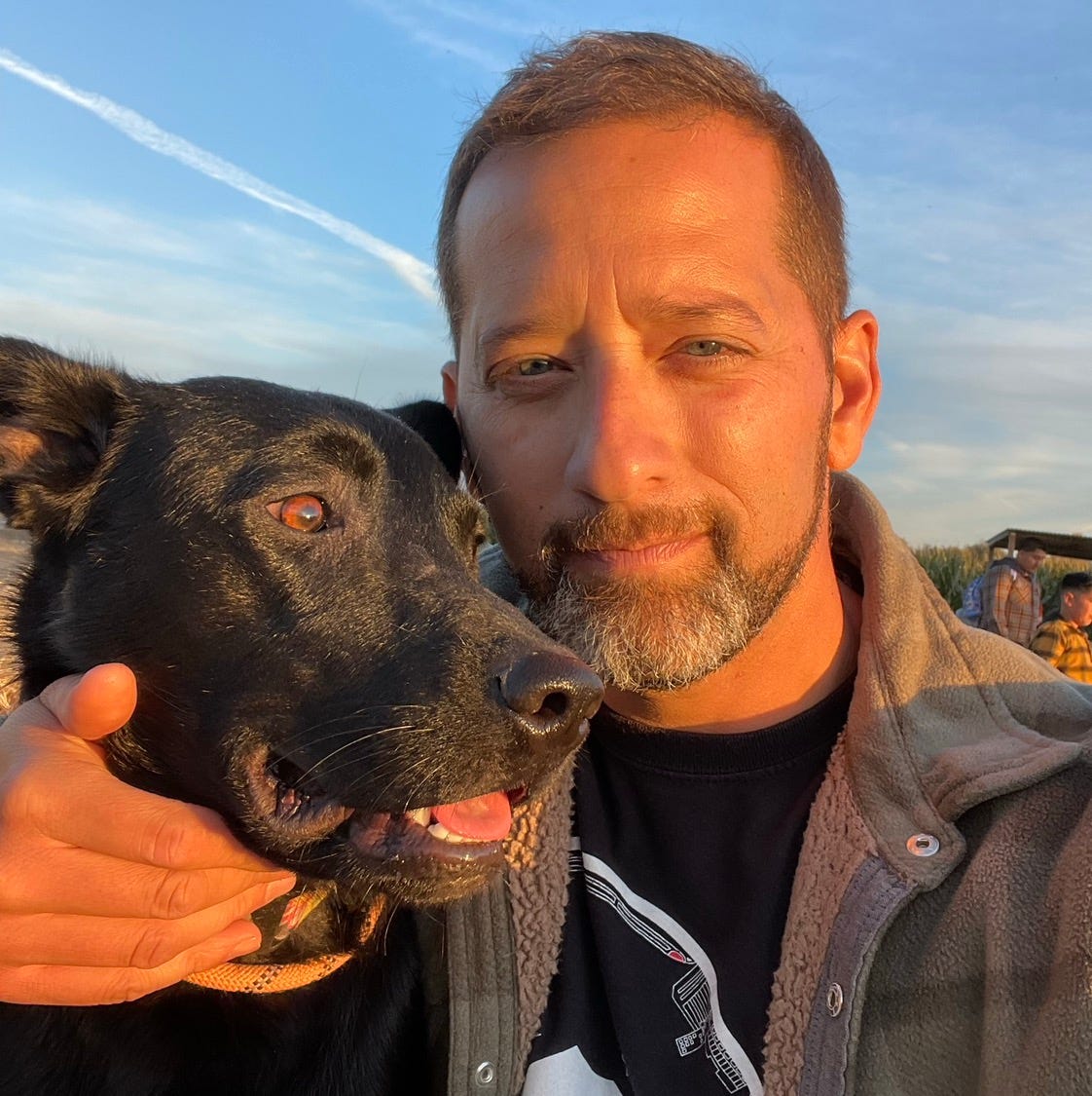 Artwork for Storifying Our Pedagogies