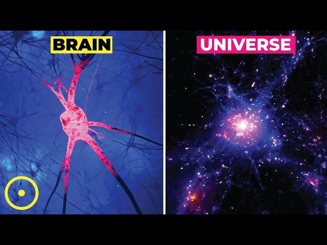 Why Does the Brain Resemble the Universe? - YouTube
