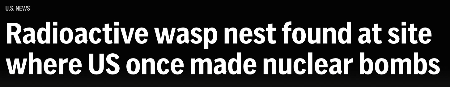 Radioactive wasp nest found at site where US once made nuclear bombs