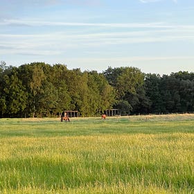De achterkant van thuis