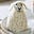 Winterish for Ukraine's avatar