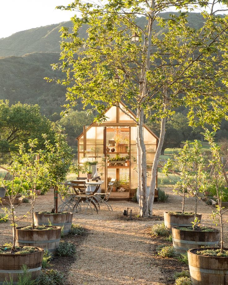 This may contain: an outhouse surrounded by trees and potted plants