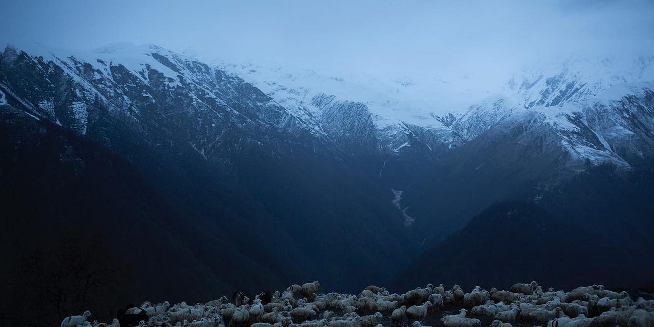 The Wolf-Man's Trail