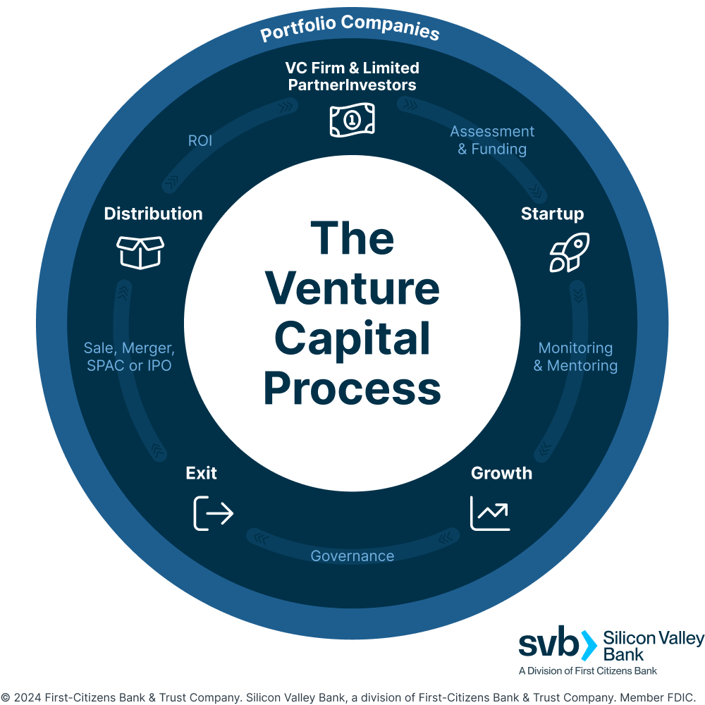 The Venture Capital Process v 4