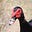 Rob Kay's avatar