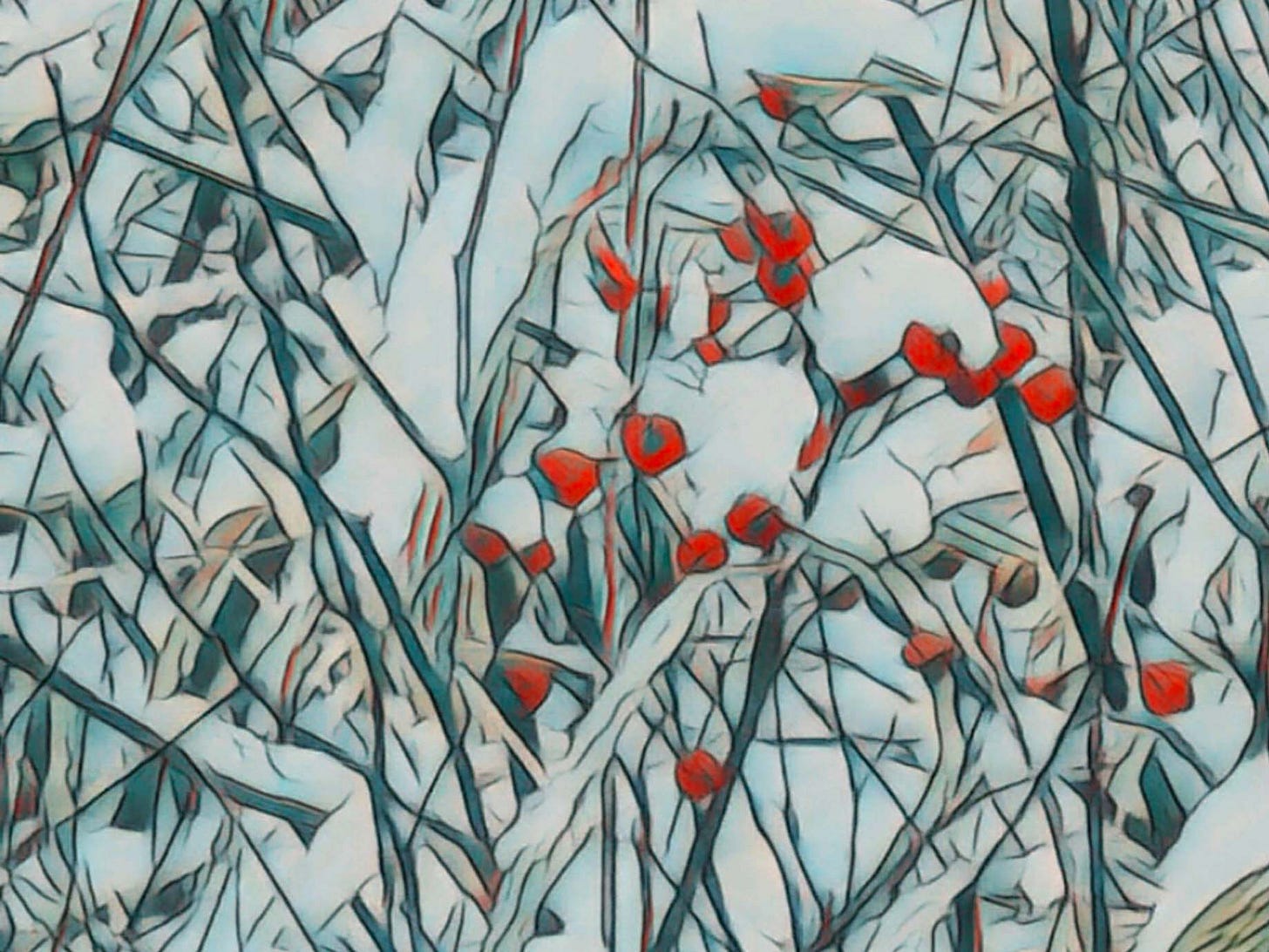 Decorative image showing rose hips in winter. Photo by the author processed in Adobe Photoshop. Decorative image showing rose hips in winter. Photo by the author processed in Adobe Photoshop.