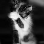 Des Silos En Trop (DSI, Métiers, Lean, Agile)