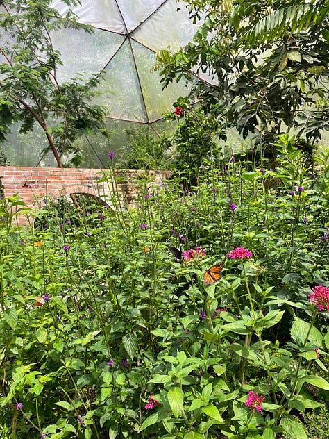 Flowers and waterfall
