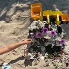 Creating Coral Castles