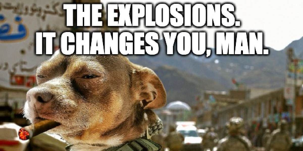 50 Funny 4th Of July Memes & Independence Day Quotes | YourTango
