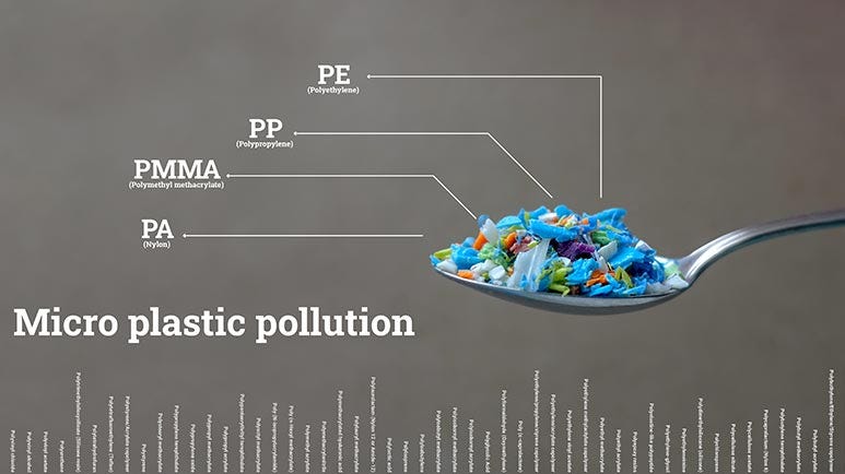 plastic in the brain