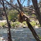 Downloads from Camping by the River