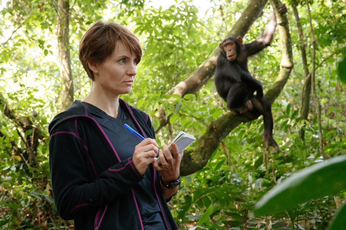 Le livre de Sabrina Krief, 'Chimpanzés, mes frères de la forêt', a paru aux éditions Actes Sud