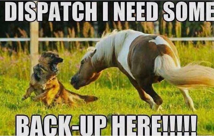 MEME] When the attack dog becomes the attacked : r/ProtectAndServe