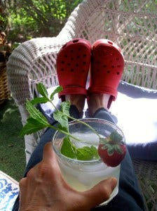summer starts here lemonade summer starts here lemonade