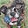Borgie's avatar