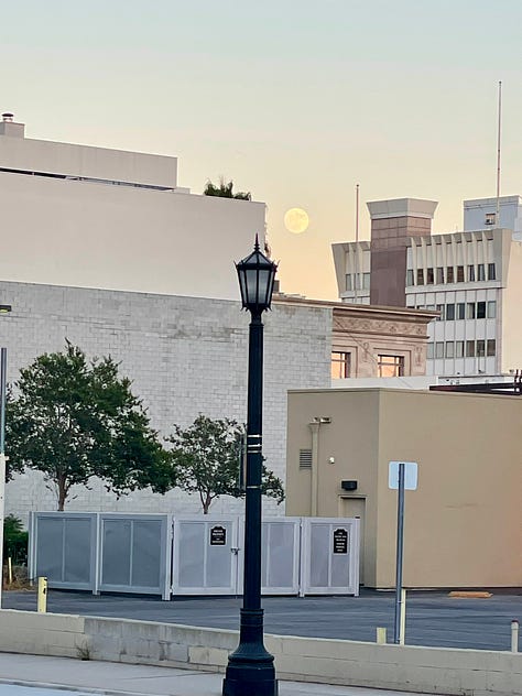 Photographs of Pasadena sights, including museums, City Hall, and restaurants.