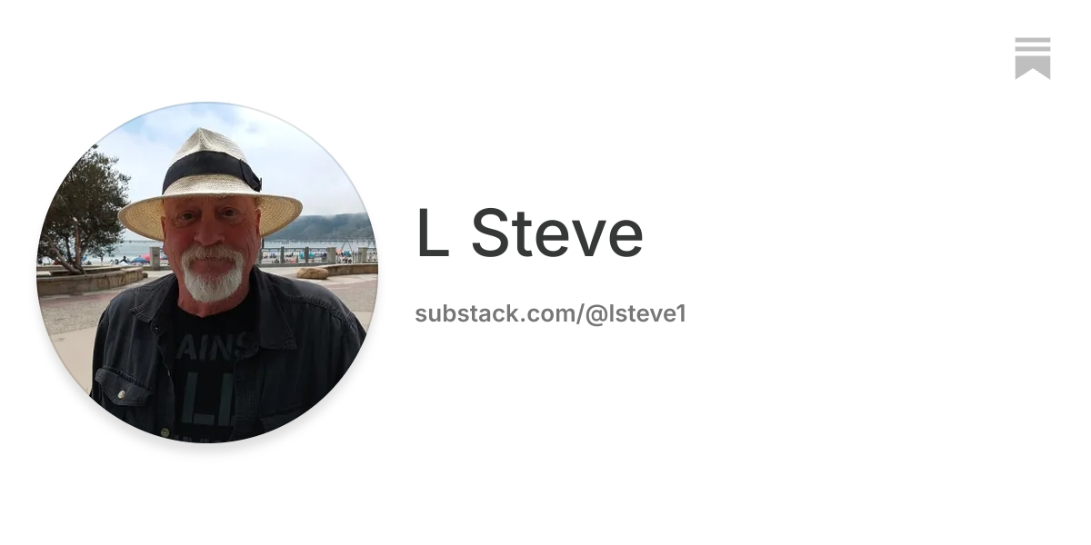 L Steve | Substack