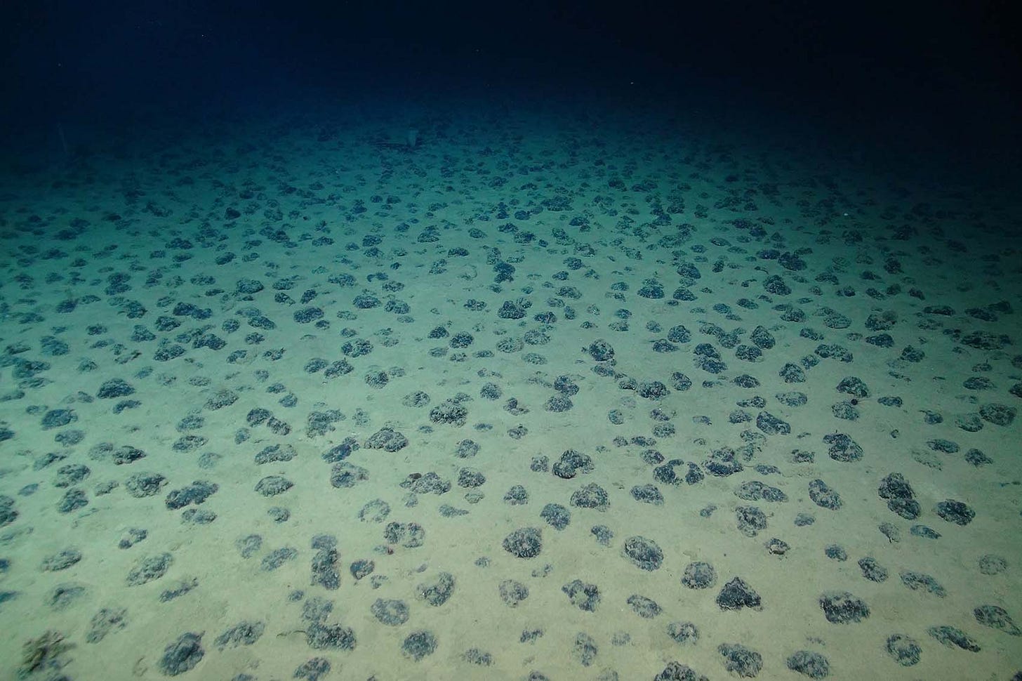 Deep sea mining: A necessary industry or too much risk? | Natural History  Museum