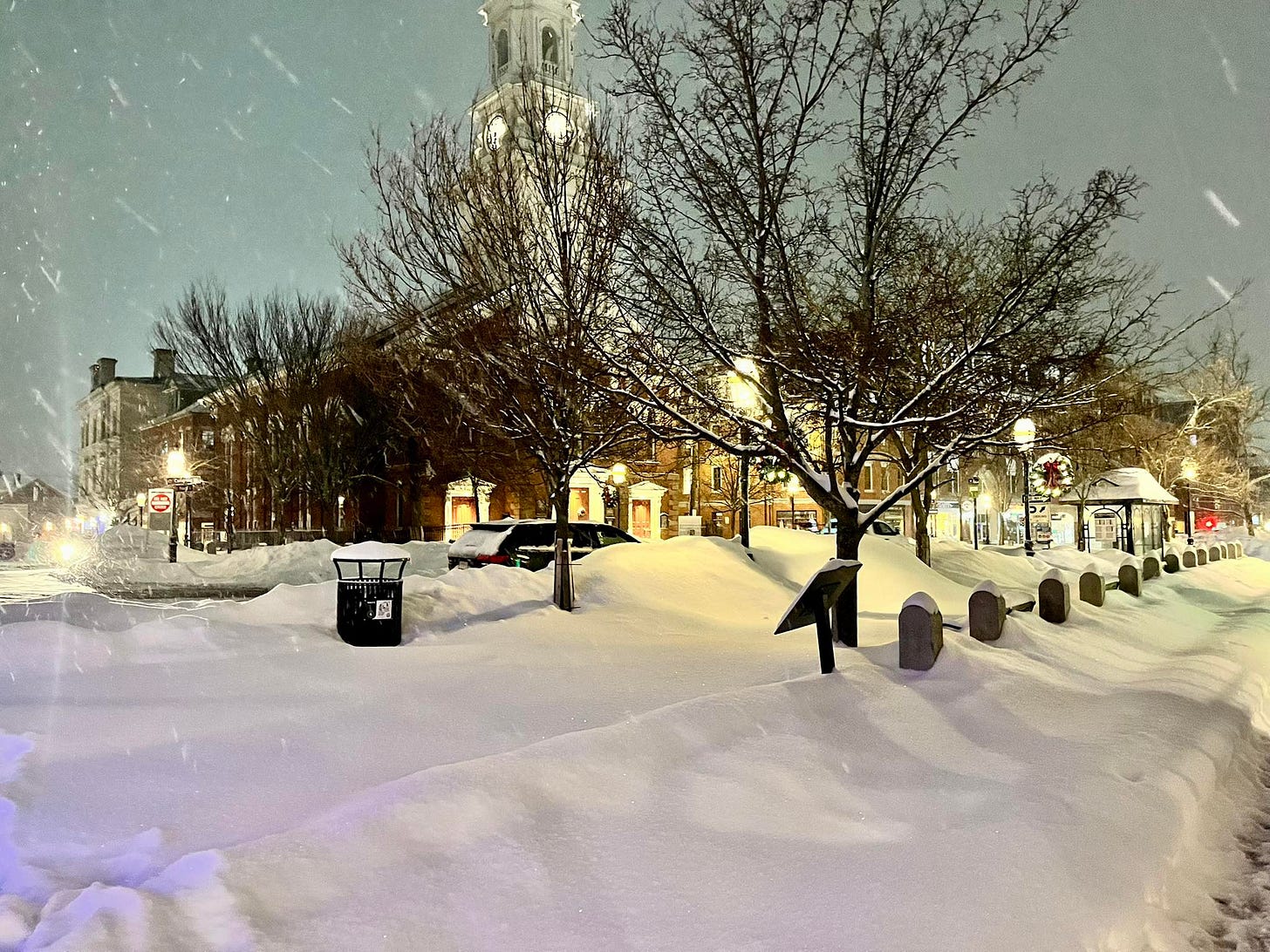 May be an image of arctic and street