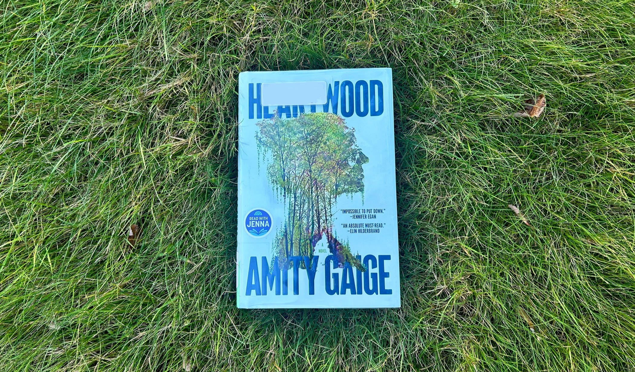 Letter to Santa Svg | Santa Letter Svg | Santa Mail Svg | Christmas Letter  Svg | North Pole Letter Cut Files | Silhouette | SVG | PNG | DXF - Etsy, image size:2100x1230