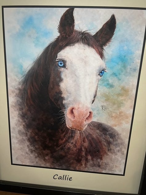 Paintings of horses by Krystal Hindman