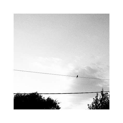 A gallery with some black and white photos.