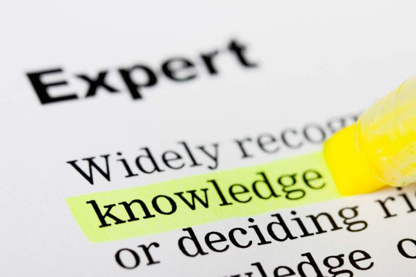 Expert