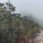 Billy, Be HONEST before AI