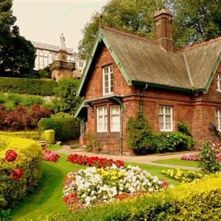 Artwork for Shelby’s Substack