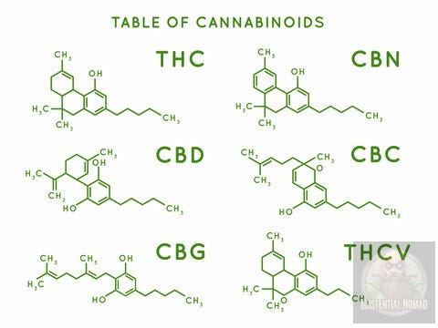 This image is a scientific chart titled "TABLE OF CANNABINOIDS." It displays the two-dimensional chemical structures of six different cannabinoid molecules commonly found in the cannabis plant. Each molecule is depicted as a skeletal formula and labeled with its well-known abbreviation. The six cannabinoids shown are: THC (Tetrahydrocannabinol) CBN (Cannabinol) CBD (Cannabidiol) CBC (Cannabichromene) CBG (Cannabigerol) THCV (Tetrahydrocannabivarin) The chart has a clean, educational design with green text and diagrams on a white background. This image is a scientific chart titled "TABLE OF CANNABINOIDS." It displays the two-dimensional chemical structures of six different cannabinoid molecules commonly found in the cannabis plant. Each molecule is depicted as a skeletal formula and labeled with its well-known abbreviation. The six cannabinoids shown are: THC (Tetrahydrocannabinol) CBN (Cannabinol) CBD (Cannabidiol) CBC (Cannabichromene) CBG (Cannabigerol) THCV (Tetrahydrocannabivarin) The chart has a clean, educational design with green text and diagrams on a white background.