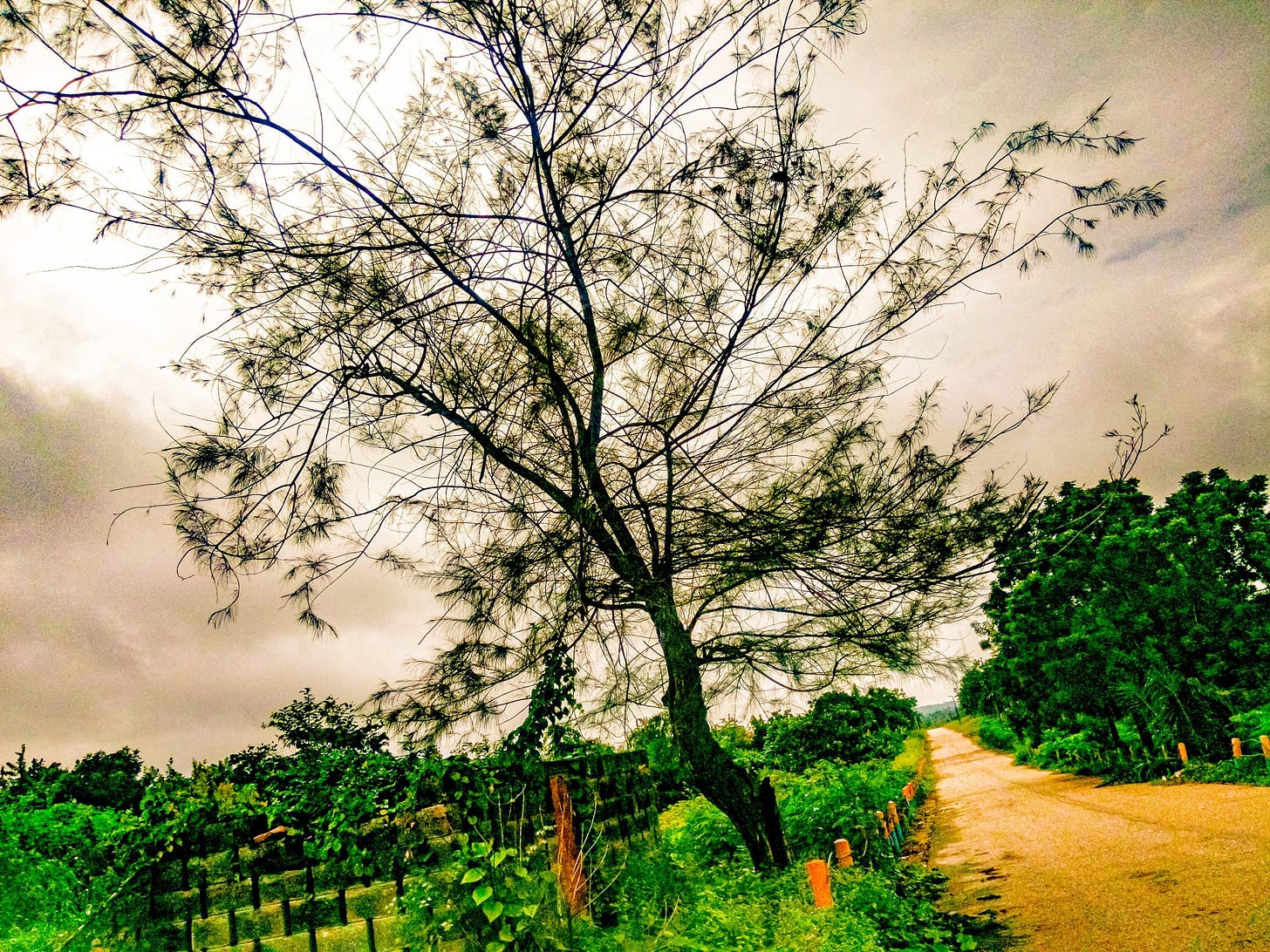 I take beautiful pictures of nature too. I take beautiful pictures of nature too.