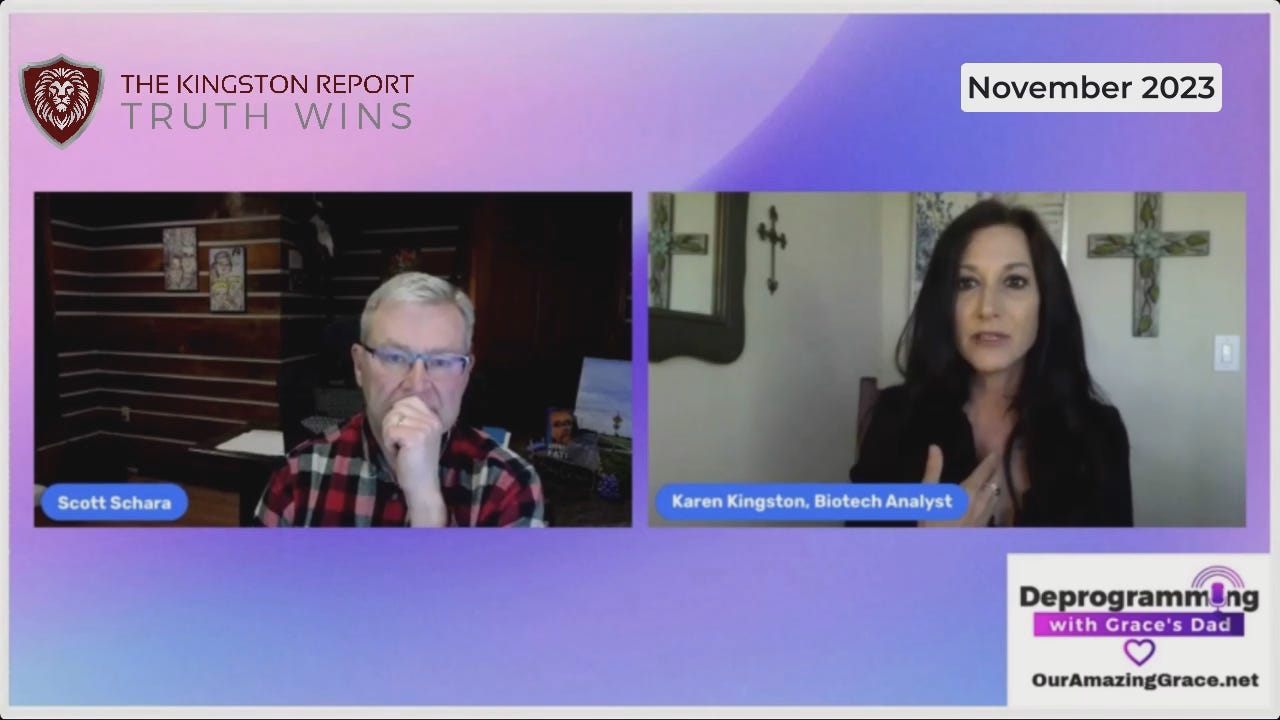 The Kingston Report | Karen Kingston | Substack