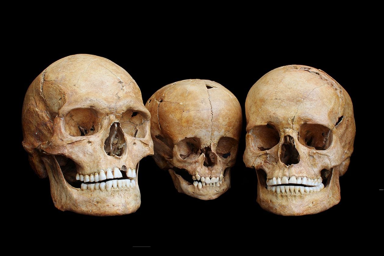 News - Study of Hunter-Gatherer Teeth Tracks Changes in Ice Age Europe - Archaeology Magazine News - Study of Hunter-Gatherer Teeth Tracks Changes in Ice Age Europe - Archaeology Magazine