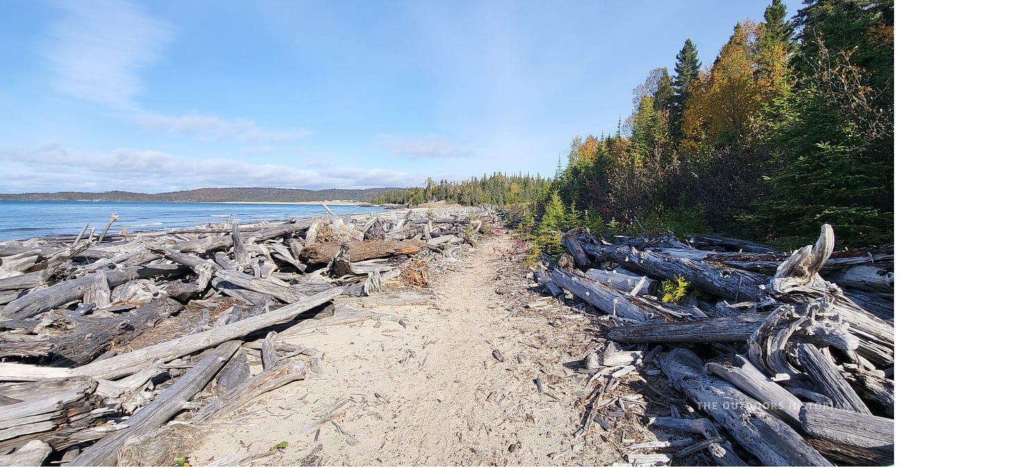 A narrow sand hiking trail cutting directly through a massive pile of grey, weathered driftwood logs and timber that have been washed up along the shoreline.