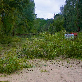 14 Flashes From the Hurricane