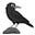 Scare Crow's avatar