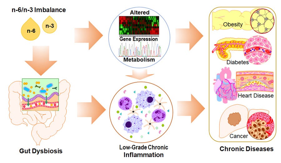 Novel mouse models shed light on role of omega-6/omega-3 imbalance in chronic disease - Research Outreach Novel mouse models shed light on role of omega-6/omega-3 imbalance in chronic disease - Research Outreach