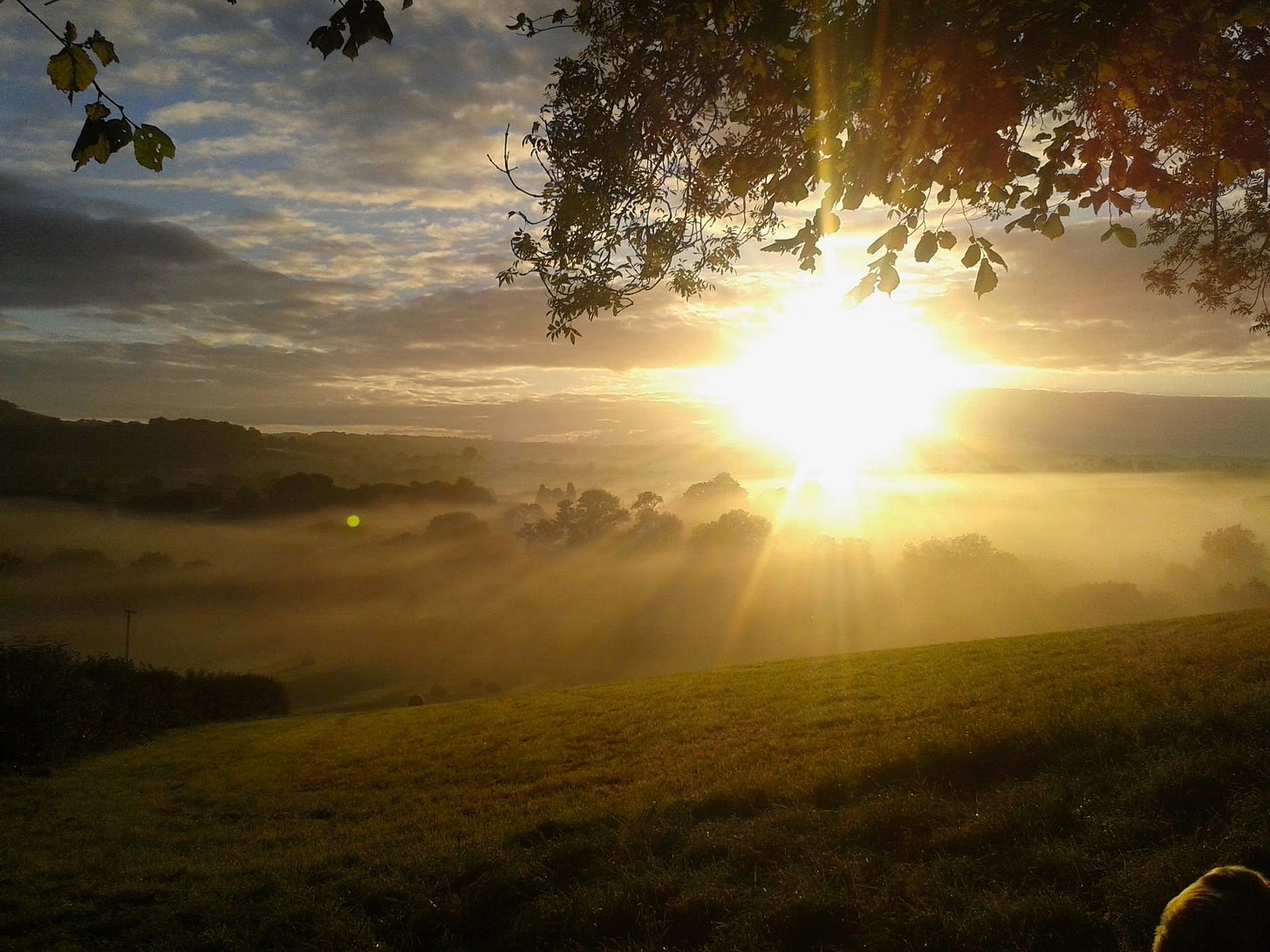 Soft light breaking through the entrance of an ancient canvas tent at dusk, illuminating the shadows within and symbolising the exposure of hidden shame and the possibility of healing across generations.