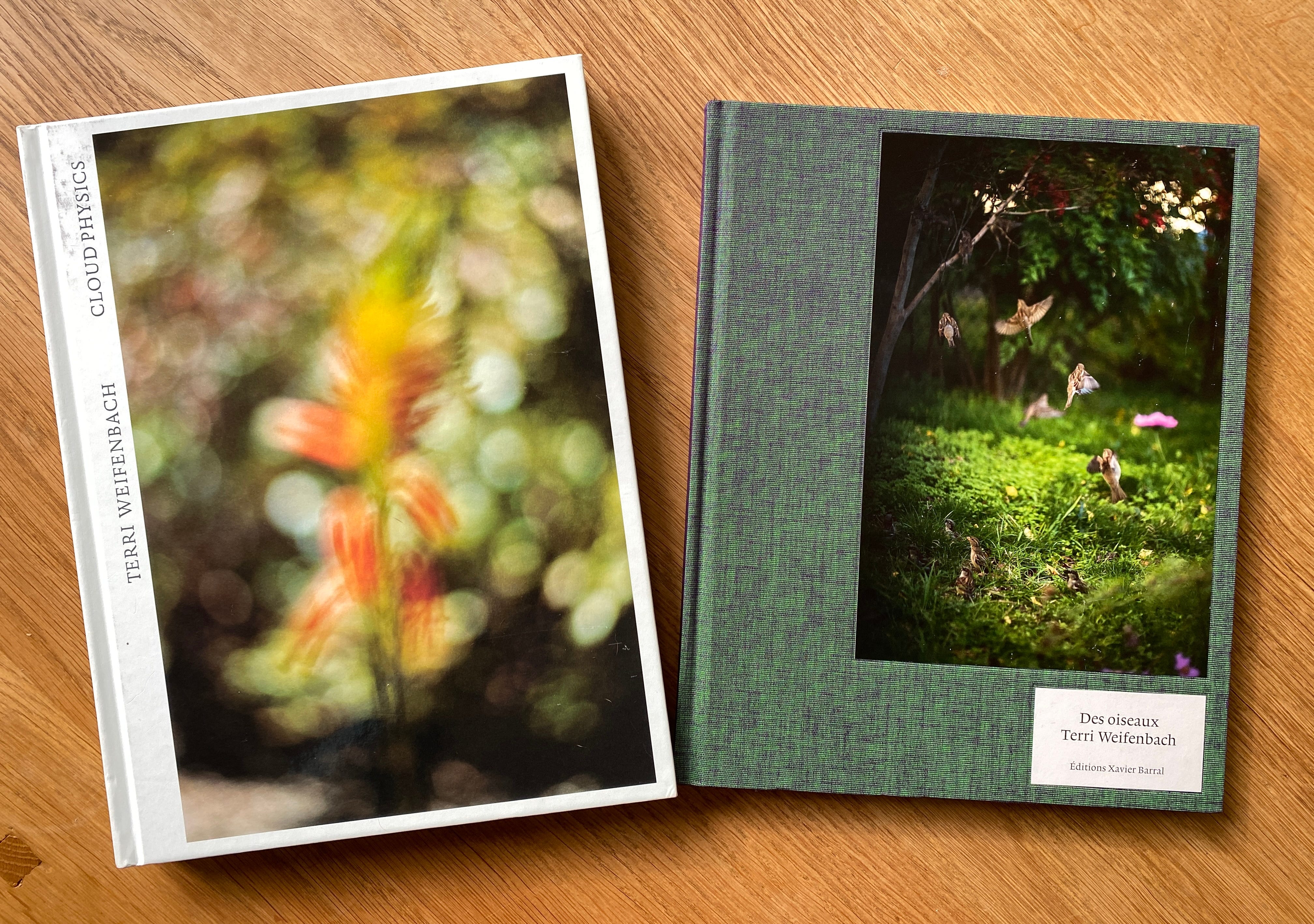 1,000部限定 希少!!!写真集【Between Maple and Chestnut