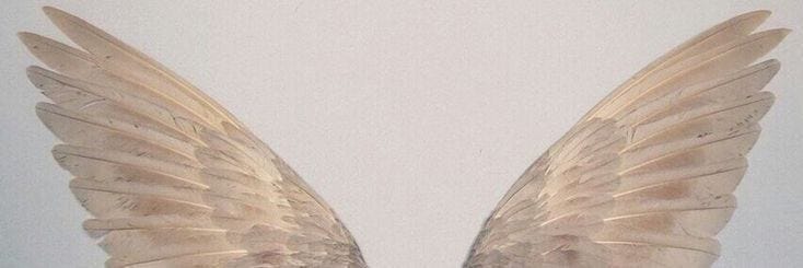 This may contain: two white birds with wings spread out in front of a white wall and one has its eyes closed