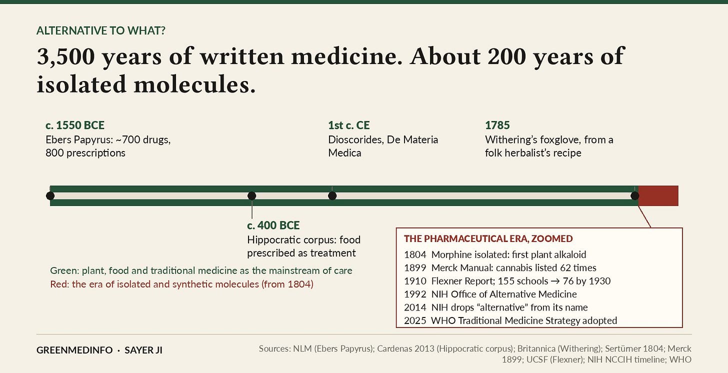 3,500 years of written medicine, about 200 years of isolated molecules. The red segment marks the era that begins in 1804, when morphine became the first alkaloid ever isolated from a plant.