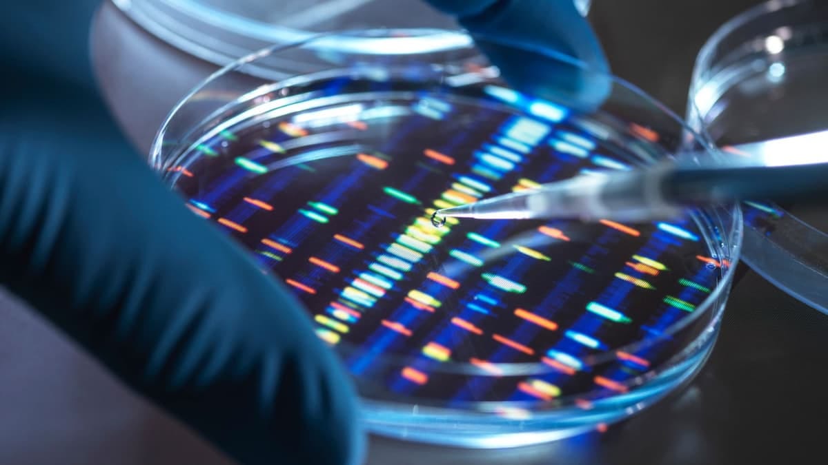 UK: World’s first artificial human DNA project sparks both hopes and fears